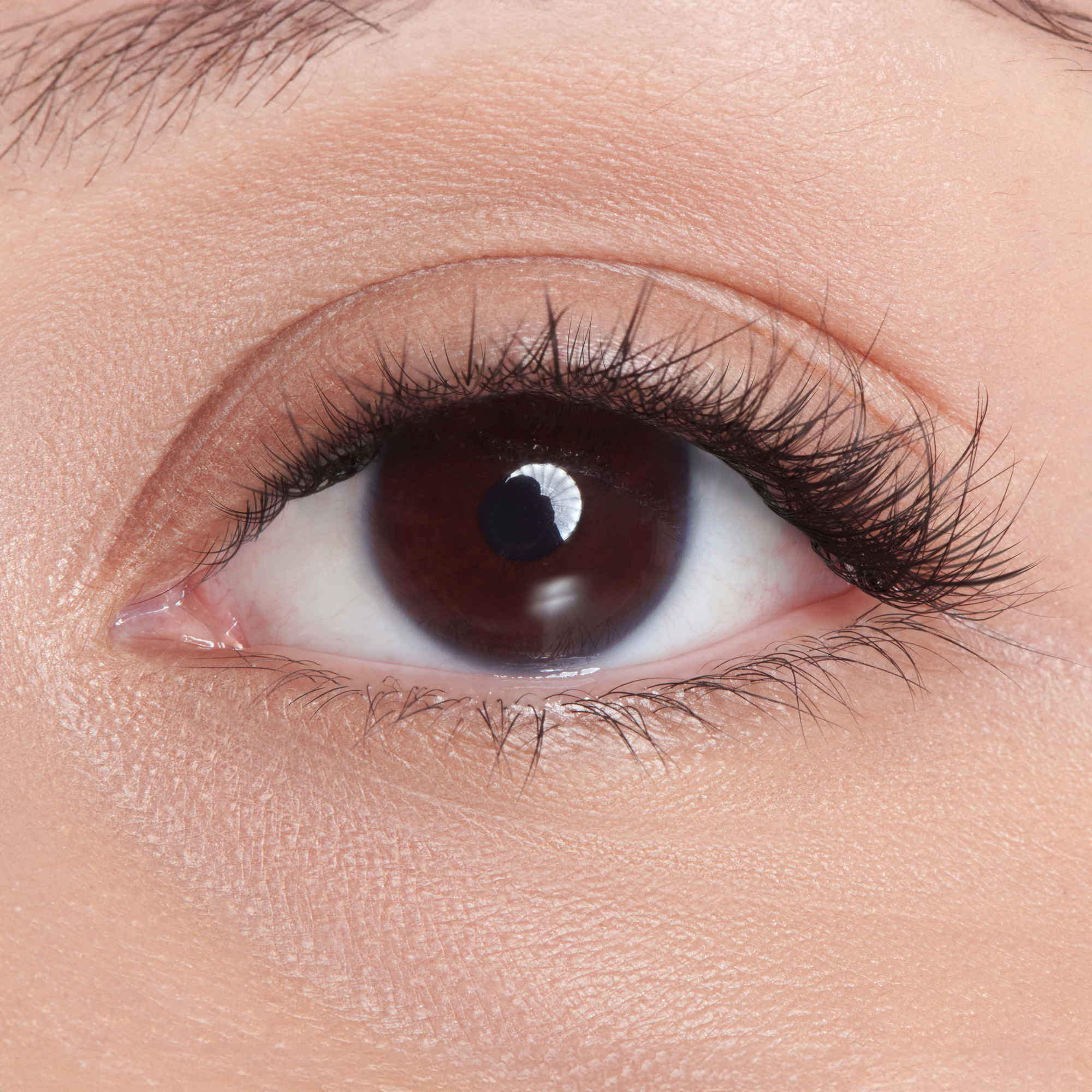 Impress Falsies Long Lasting Pre-Glued Holiday False Eyelashes - Demi Edgy | 24 Lash Clusters, Up To 5 Day Wear, 5mm-14mm
