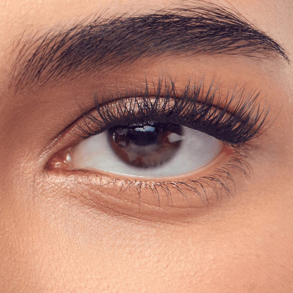 Impress Falsies Pre-Glued Individual False Eyelashes Starter Kit | 60 Lash Clusters, With Applicator, 8mm-14mm