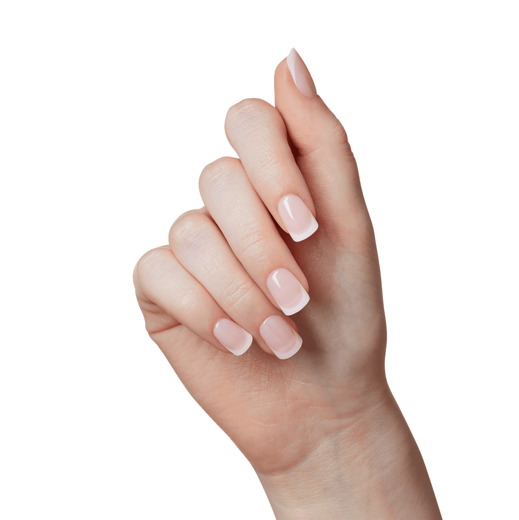 Impress French No Glue Fake Press On Nails - Heroic | French Tips, White & Neutral, Short, Squoval, Manicure