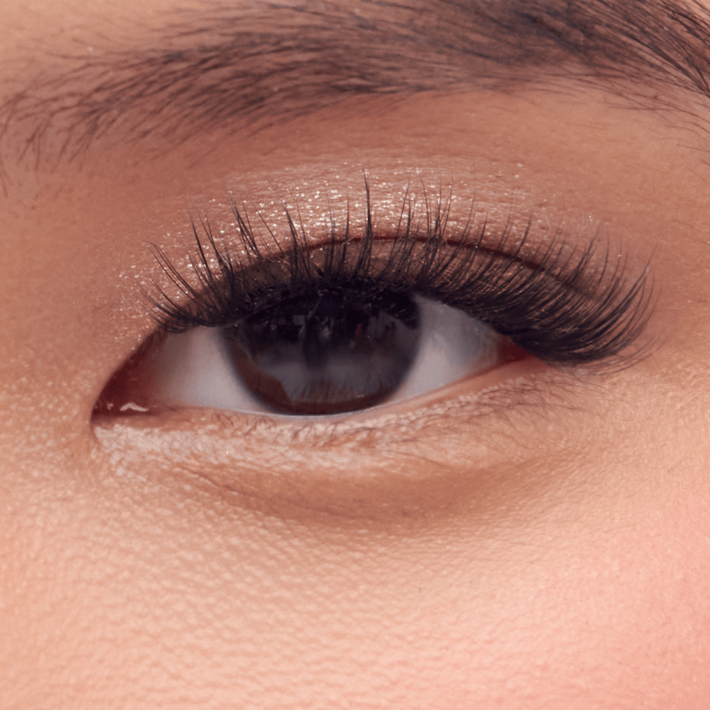Impress Falsies Pre-Glued False Eyelashes Multipack - Classic Natural | 50 Lash Clusters, 8mm-14mm