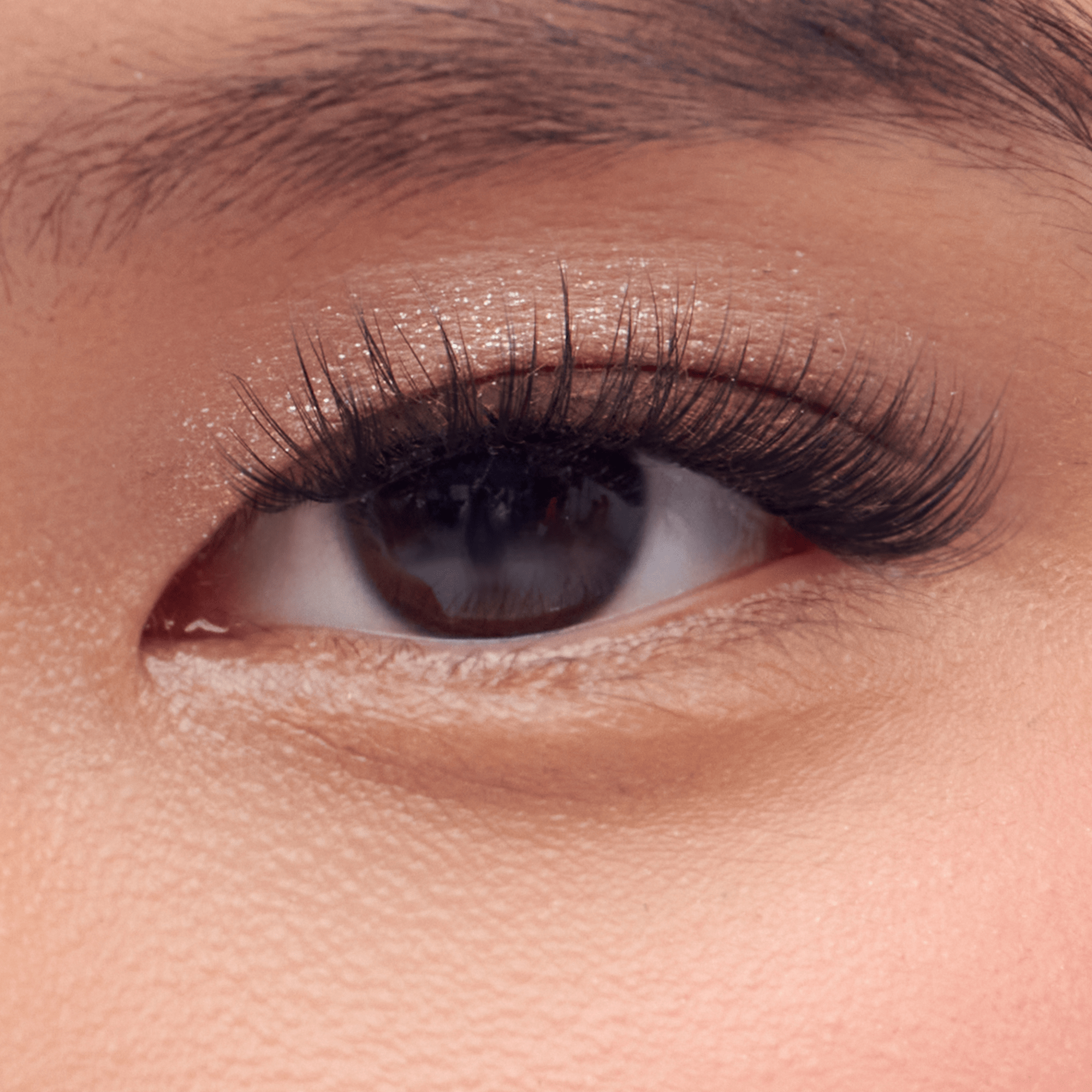 Impress Falsies Pre-Glued False Eyelashes Multipack - Classic Natural | 50 Lash Clusters, 8mm-14mm