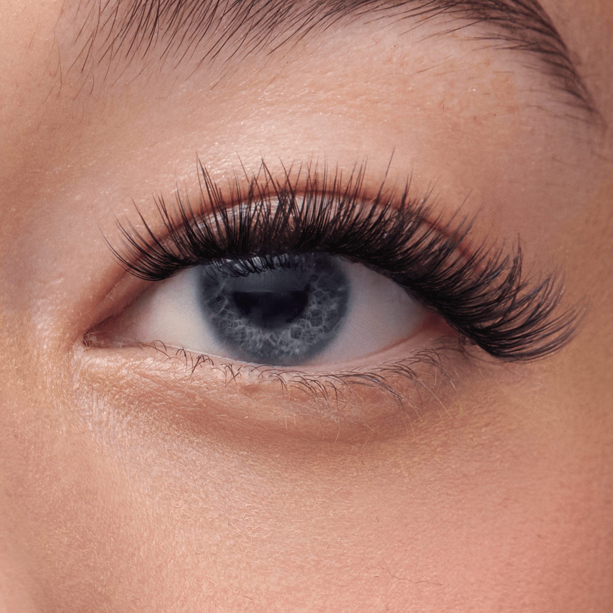 Impress Falsies Pre-Glued False Eyelashes Starter Kit - Classic Wispy | 36 Lash Clusters, With Applicator, 8mm-14mm