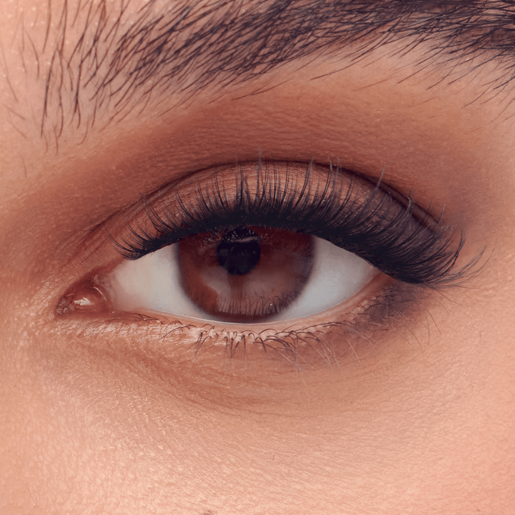Impress Falsies Long Lasting Pre-Glued False Eyelashes Starter Kit - Demi Bold | 24 Lash Clusters, With Applicator, Up To 5 Day Wear, 5mm-14mm
